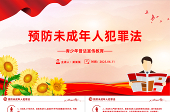 精美简洁预防未成年人犯罪法PPT青少年普法宣传教育课件