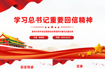 新时代青年学习总书记重要回信精神PPT党课课件