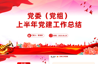 简洁大气党委（党组）上半年党建工作总结PPT模板