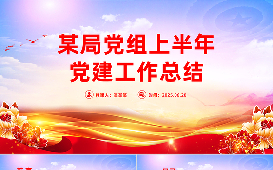 精美简洁某局党组上半年党建工作总结PPT模板