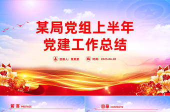 精美简洁某局党组上半年党建工作总结PPT模板
