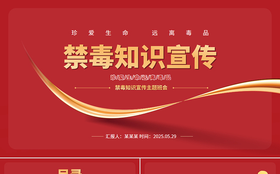 2025禁毒知识宣传PPT珍爱生命远离毒品主题班会