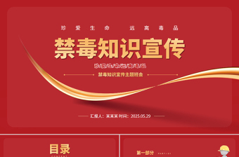 2025禁毒知识宣传PPT珍爱生命远离毒品主题班会