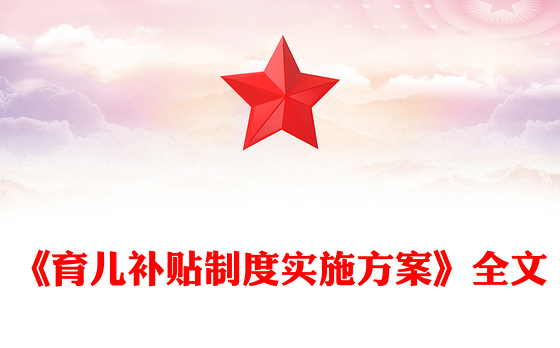 《育儿补贴制度实施方案》全文PPT课件(讲稿)