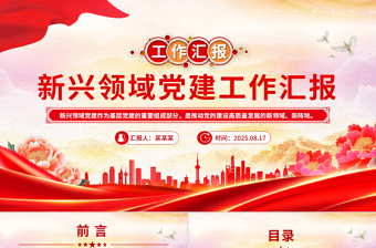 红色精美新兴领域党建工作汇报PPT模板