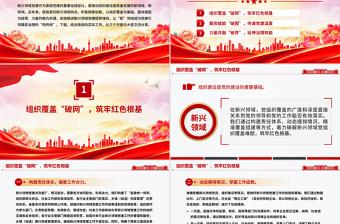 红色精美新兴领域党建工作汇报PPT模板