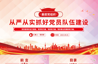 党政风从严从实抓好党员队伍建设PPT基层党组织微党课