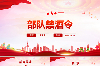 红色精美部队禁酒令PPT军队管酒治酒工作课件