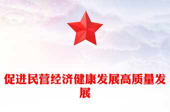 党政风促进民营经济健康发展高质量发展PPT总书记在民营企业座谈会上讲话课(讲稿)