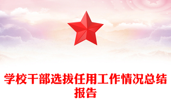 学校干部选拔任用工作情况总结报告