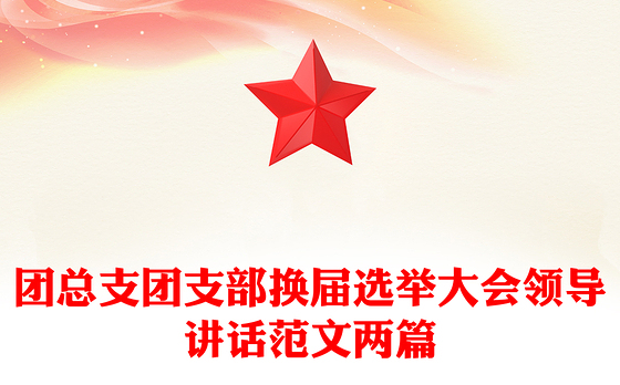 团总支团支部换届选举大会领导讲话范文两篇
