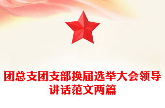 团总支团支部换届选举大会领导讲话范文两篇