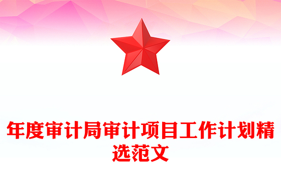 年度审计局审计项目工作计划精选范文