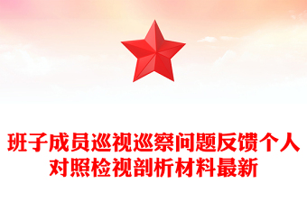 班子成员巡视巡察问题反馈个人对照检视剖析材料最新