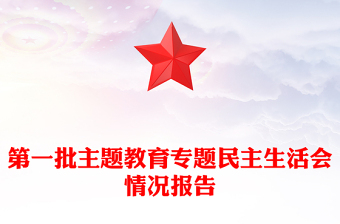 第一批主题教育专题民主生活会情况报告