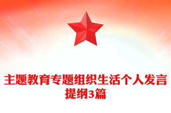 主题教育专题组织生活个人发言提纲3篇