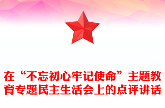在“不忘初心牢记使命”主题教育专题民主生活会上的点评讲话