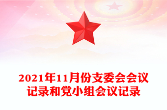2021年11月份支委会会议记录和党小组会议记录