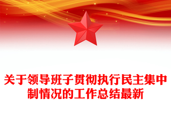 执行民主集中制情况