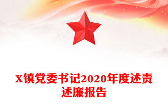 X镇党委书记2020年度述责述廉报告