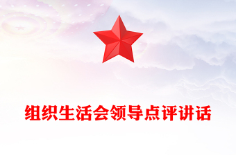 组织生活会领导点评讲话