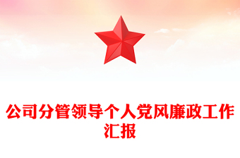 公司分管领导个人党风廉政工作汇报