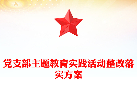 党支部主题教育实践活动整改落实方案