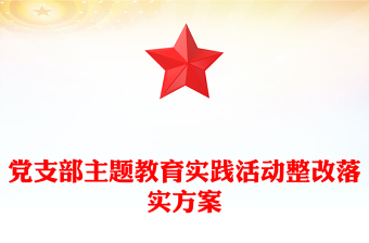 党支部主题教育实践活动整改落实方案
