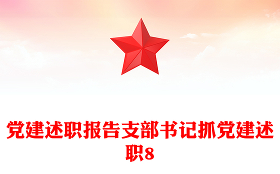 党建述职报告支部书记抓党建述职8