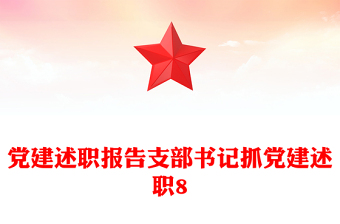 党建述职报告支部书记抓党建述职8