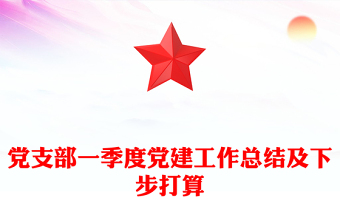 党支部一季度党建工作总结及下步打算
