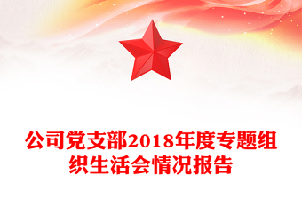 公司党支部2018年度专题组织生活会情况报告