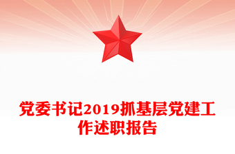 党委书记2019抓基层党建工作述职报告