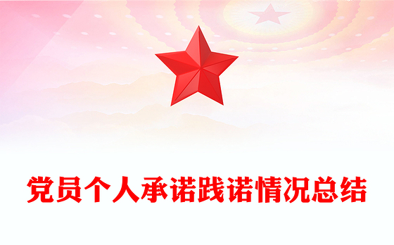 党员个人承诺践诺情况总结