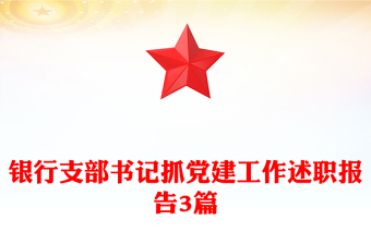 2023银行支部书记对照反思报告