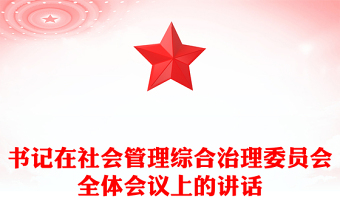 书记在社会管理综合治理委员会全体会议上的讲话