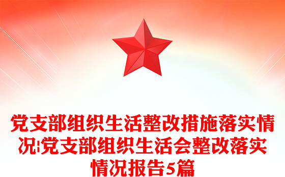 党支部组织生活整改措施落实情况|党支部组织生活会整改落实情况报告5篇