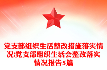 党支部组织生活整改措施落实情况|党支部组织生活会整改落实情况报告5篇