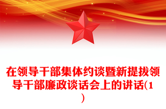 在领导干部集体约谈暨新提拔领导干部廉政谈话会上的讲话(1)