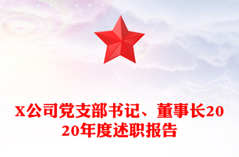 X公司党支部书记、董事长2020年度述职报告