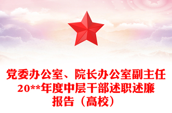 党委办公室、院长办公室副主任20**年度中层干部述职述廉报告（高校）