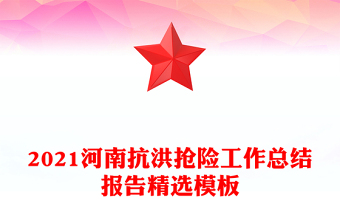 2021河南抗洪抢险工作总结报告精选模板
