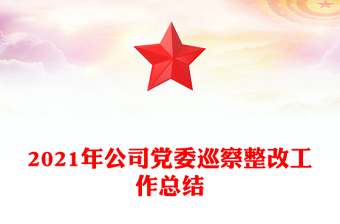 2021年公司党委巡察整改工作总结