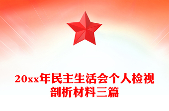 20xx年民主生活会个人检视剖析材料三篇