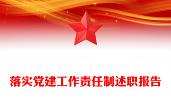 落实党建工作责任制述职报告
