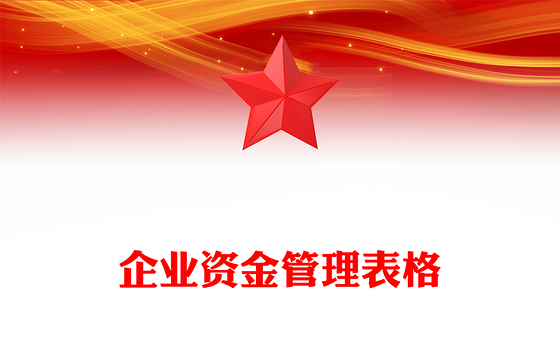 企业资金管理表格