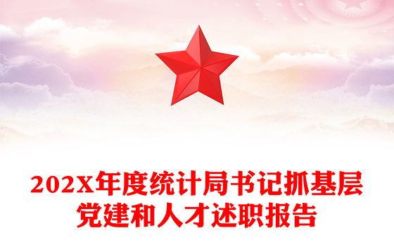 202X年度统计局书记抓基层党建和人才述职报告