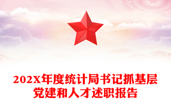 202X年度统计局书记抓基层党建和人才述职报告
