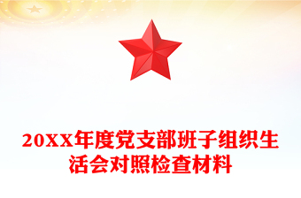 20XX年度党支部班子组织生活会对照检查材料