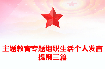 主题教育专题组织生活个人发言提纲三篇